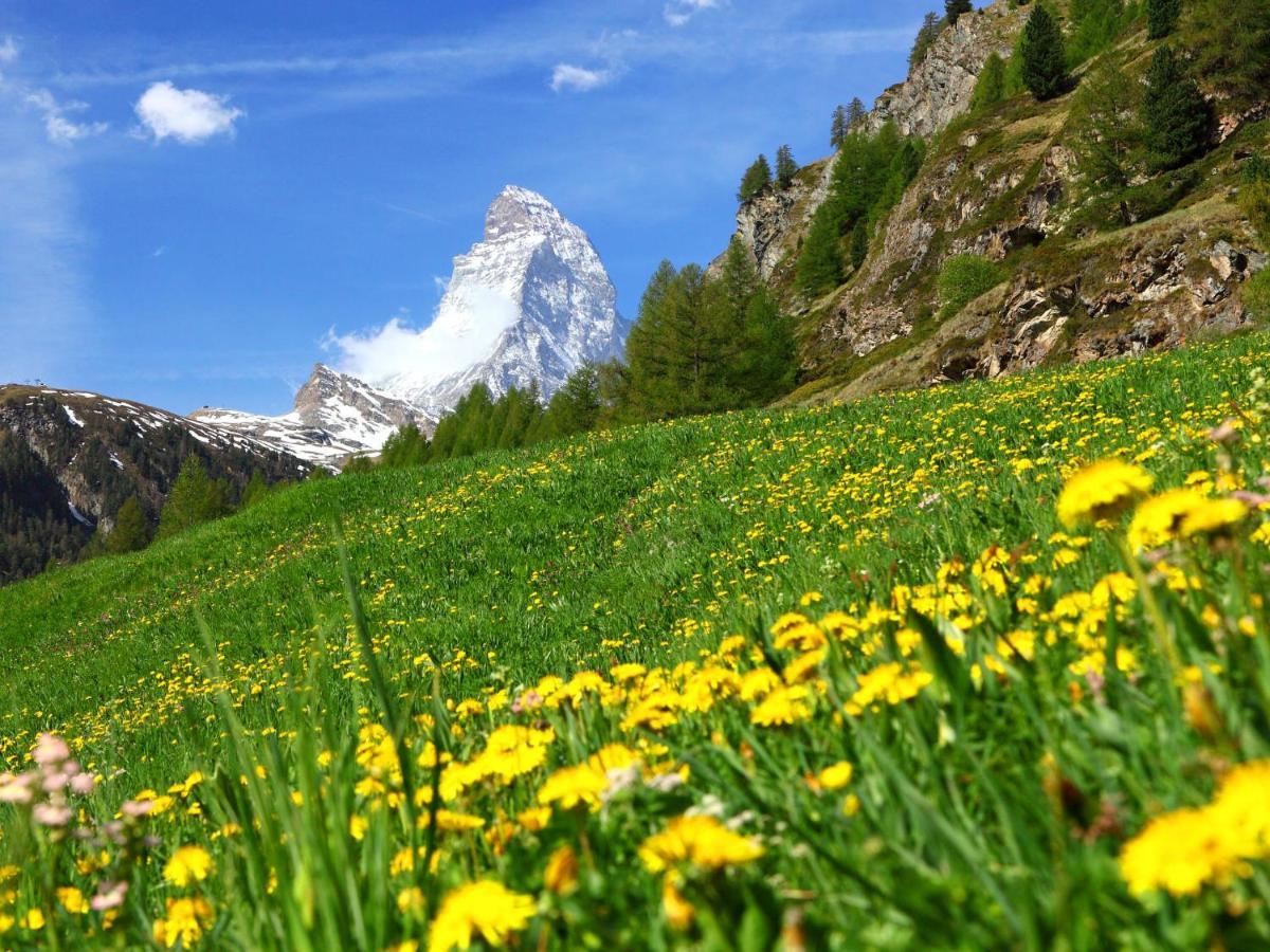 Apartment Kondor By Interhome Zermatt Kültér fotó