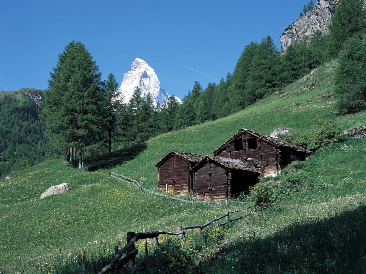 Apartment Kondor By Interhome Zermatt Kültér fotó